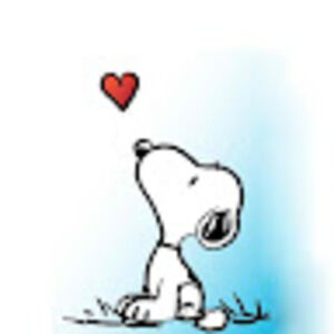 Meet your Posher, Kara